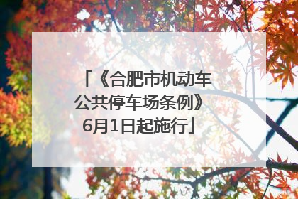 《合肥市机动车公共停车场条例》6月1日起施行