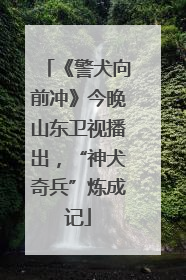 《警犬向前冲》今晚山东卫视播出，“神犬奇兵”炼成记