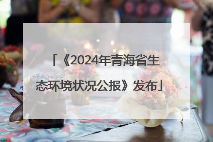 《2024年青海省生态环境状况公报》发布
