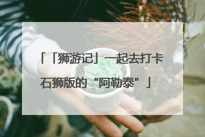 「狮游记」一起去打卡石狮版的“阿勒泰”