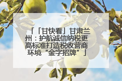 「甘快看」甘肃兰州：护航诚信纳税更高标准打造税收营商环境“金字招牌”