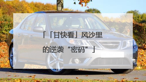 「甘快看」风沙里的逆袭“密码”