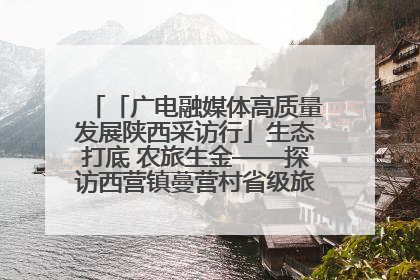 「广电融媒体高质量发展陕西采访行」生态打底 农旅生金——探访西营镇蔓营村省级旅游示范村的振兴密码