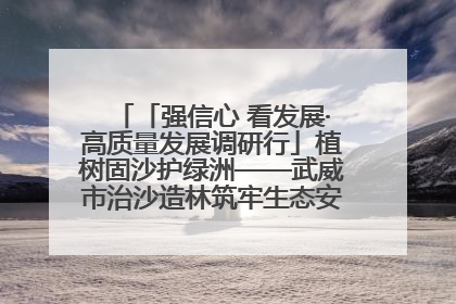 「强信心 看发展·高质量发展调研行」植树固沙护绿洲——武威市治沙造林筑牢生态安全屏障见闻
