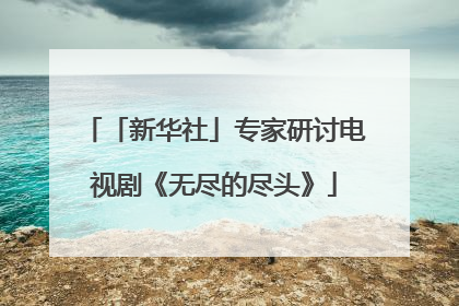 「新华社」专家研讨电视剧《无尽的尽头》