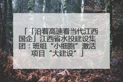 「沿着高速看当代江西国企」江西省水投建设集团：班组“小细胞”激活项目“大建设”