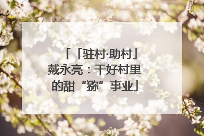 「驻村·助村」戴永亮：干好村里的甜“猕”事业