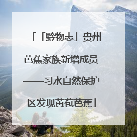 「黔物志」贵州芭蕉家族新增成员——习水自然保护区发现黄苞芭蕉