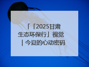 「2025甘肃生态环保行」视觉｜今夏的心动密码，藏在冰沟河的潋滟波光里