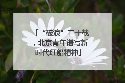 “破浪”二十载，北京青年谱写新时代红船精神
