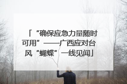 “确保应急力量随时可用”——广西应对台风“蝴蝶”一线见闻