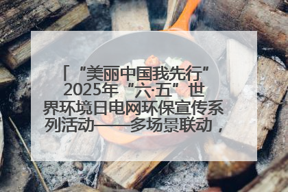 “美丽中国我先行” 2025年“六·五”世界环境日电网环保宣传系列活动——多场景联动，共筑生态发展新图景