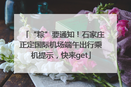 “粽”要通知！石家庄正定国际机场端午出行乘机提示，快来get