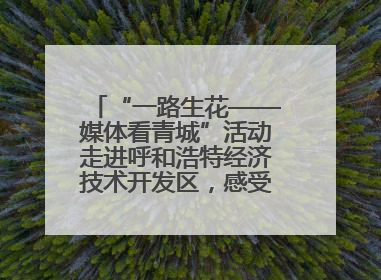 “一路生花——媒体看青城”活动走进呼和浩特经济技术开发区，感受发展新动能
