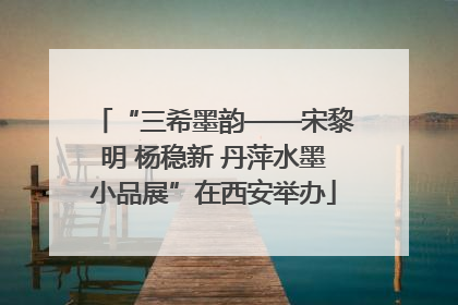 “三希墨韵——宋黎明 杨稳新 丹萍水墨小品展”在西安举办