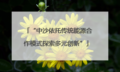 “中沙依托传统能源合作模式探索多元创新”