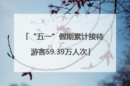 “五一”假期累计接待游客59.39万人次