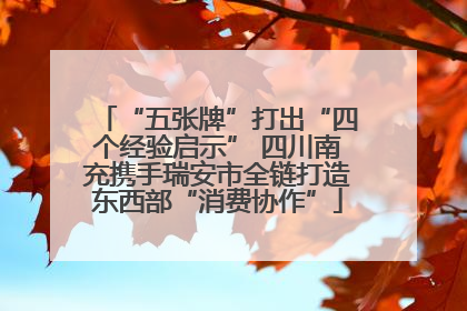 “五张牌”打出“四个经验启示” 四川南充携手瑞安市全链打造东西部“消费协作”