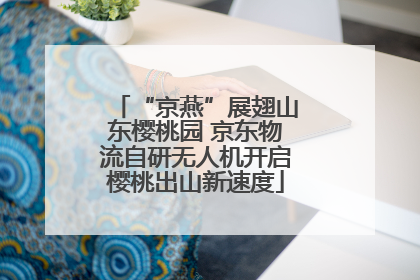 “京燕”展翅山东樱桃园 京东物流自研无人机开启樱桃出山新速度