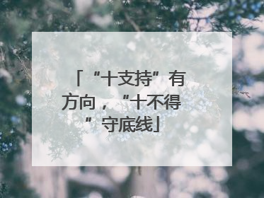 “十支持”有方向，“十不得”守底线