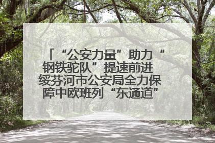“公安力量”助力“钢铁驼队”提速前进 绥芬河市公安局全力保障中欧班列“东通道”绥芬河隧道贯通