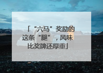 “六马”奖励的这条“腿”，风味比奖牌还厚重