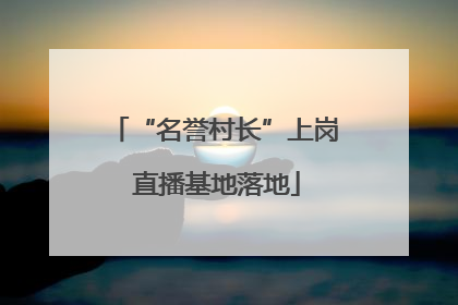 “名誉村长”上岗 直播基地落地