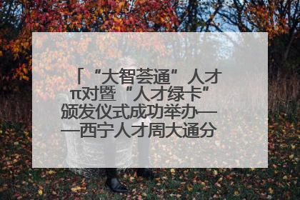 “大智荟通”人才π对暨“人才绿卡”颁发仪式成功举办——西宁人才周大通分会场亮点纷呈
