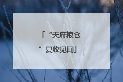 “天府粮仓”夏收见闻