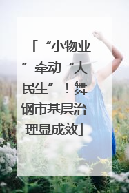 “小物业”牵动“大民生”！舞钢市基层治理显成效