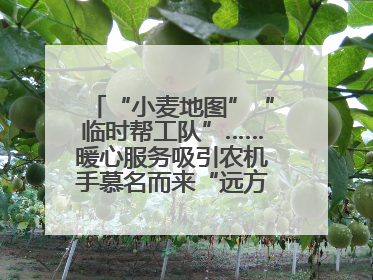 “小麦地图”“临时帮工队”……暖心服务吸引农机手慕名而来“远方的家”