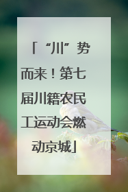 “川”势而来！第七届川籍农民工运动会燃动京城