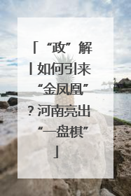 “政”解丨如何引来“金凤凰”？河南亮出“一盘棋”