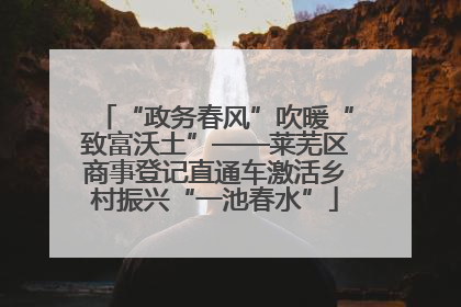 “政务春风”吹暖“致富沃土”——莱芜区商事登记直通车激活乡村振兴“一池春水”