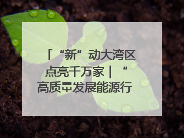 “新”动大湾区 点亮千万家｜“高质量发展能源行”系列报道③