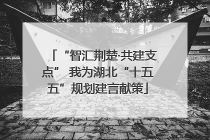 “智汇荆楚·共建支点” 我为湖北“十五五”规划建言献策