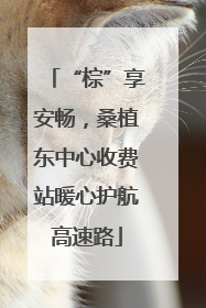 “棕”享安畅，桑植东中心收费站暖心护航高速路