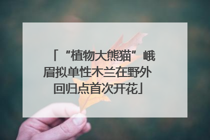 “植物大熊猫”峨眉拟单性木兰在野外回归点首次开花
