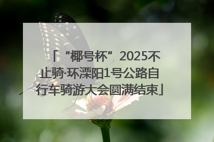 “椰号杯”2025不止骑·环溧阳1号公路自行车骑游大会圆满结束