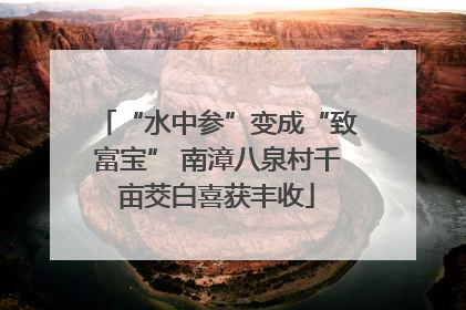 “水中参”变成“致富宝” 南漳八泉村千亩茭白喜获丰收