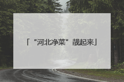 “河北净菜”靓起来