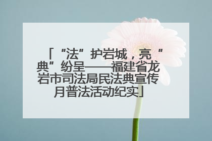 “法”护岩城，亮“典”纷呈——福建省龙岩市司法局民法典宣传月普法活动纪实