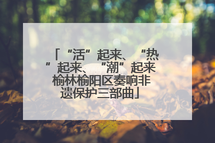 “活”起来、“热”起来、“潮”起来 榆林榆阳区奏响非遗保护三部曲