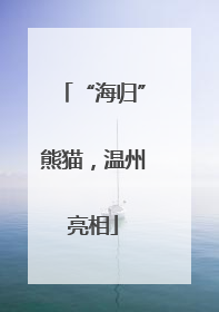 “海归”熊猫，温州亮相