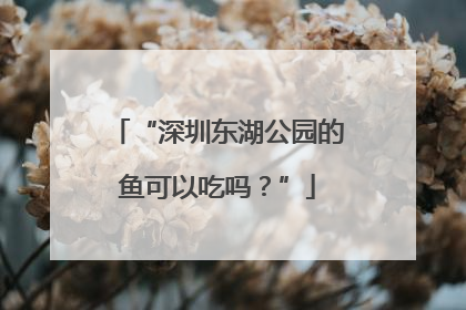 “深圳东湖公园的鱼可以吃吗？”