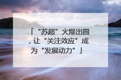 “苏超”火爆出圈，让“关注效应”成为“发展动力”