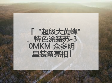 “超级大黄蜂”、特色涂装苏-30MKM 众多明星装备亮相