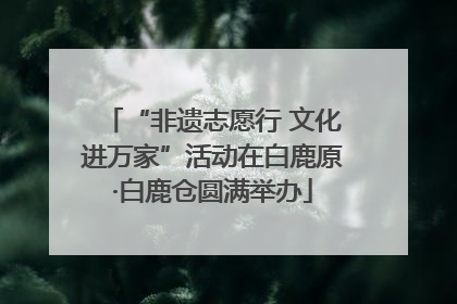 “非遗志愿行 文化进万家”活动在白鹿原·白鹿仓圆满举办