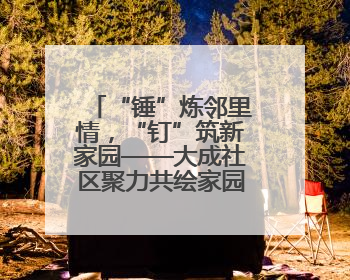 “锤”炼邻里情，“钉”筑新家园——大成社区聚力共绘家园新篇