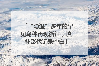 “隐退”多年的罕见鸟种再现浙江，填补影像记录空白
